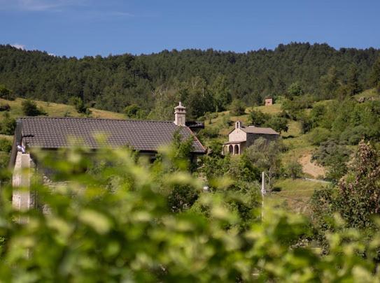 Vila Shen Maria Ξενοδοχείο Μοσχόπολη Εξωτερικό φωτογραφία